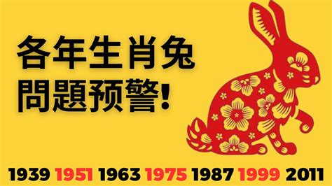 1963屬兔2023運勢|属兔人2023年全年运势详解 属兔2023年运势及运程每月运程